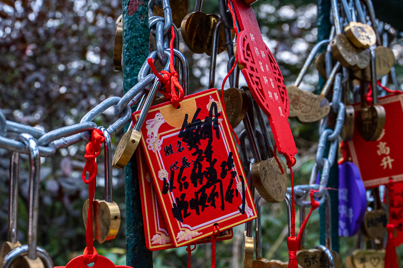 百度上的成都導(dǎo)游靠譜么(百度里旅游推薦的個(gè)人導(dǎo)游是真是假)