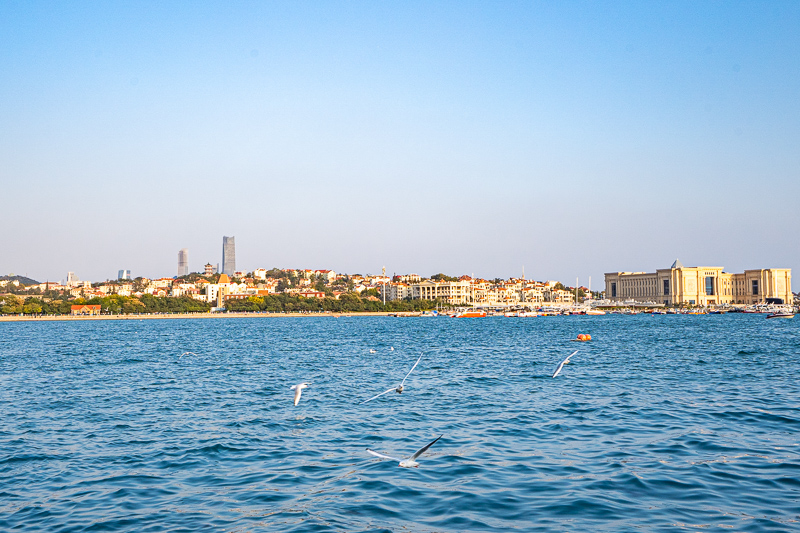 去成都旅游團(tuán)只有司機(jī)沒有導(dǎo)游(成都去張家界旅游的自駕車路線,到張家界了是否需要導(dǎo)游)