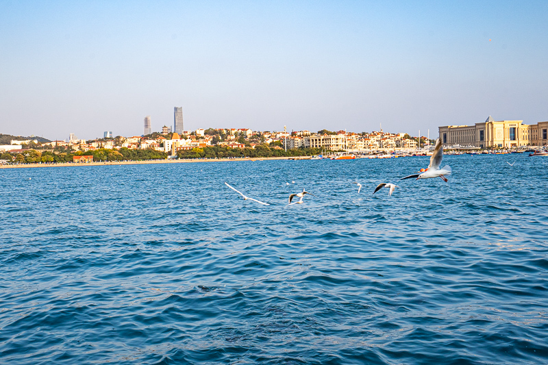 成都游玩那些導(dǎo)游(去旅游怎樣找當(dāng)?shù)貙?dǎo)游)