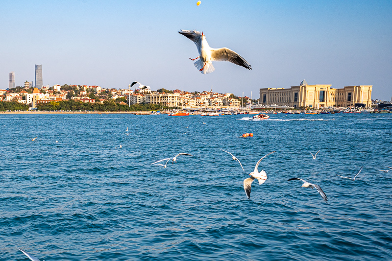 本地導游成都去哪里玩好(成都去哪兒玩)