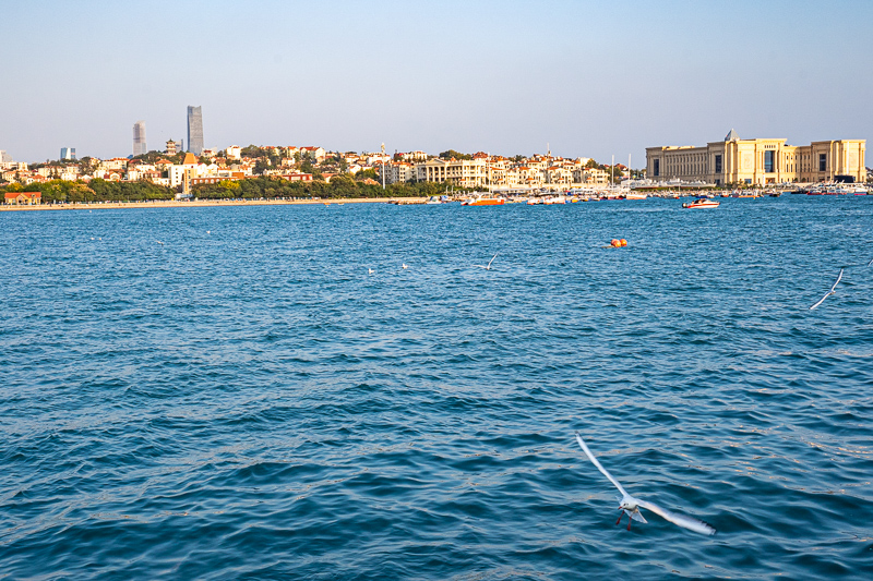 成都網(wǎng)約導(dǎo)游靠譜(去成都旅游好不好)