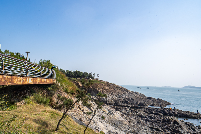 成都市導(dǎo)游執(zhí)業(yè)(成都旅游當(dāng)?shù)貙?dǎo)游) 成都市導(dǎo)游執(zhí)業(yè)(成都旅游當(dāng)?shù)貙?dǎo)游)