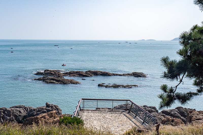 成都當?shù)厝藢в瓮扑](成都一日游報團接送)