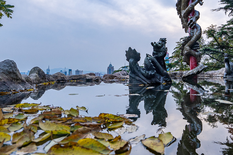 成都旅游導(dǎo)游依依(成都旅游當(dāng)?shù)貙?dǎo)游)