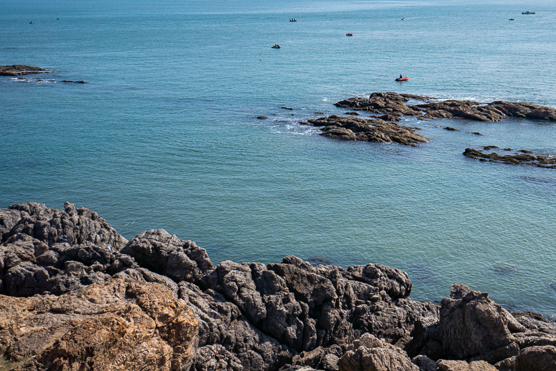 重慶導(dǎo)游兼職(重慶導(dǎo)游兼職招聘)