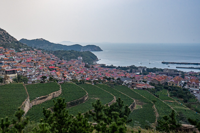 重慶韓國導游(重慶當?shù)貙в?