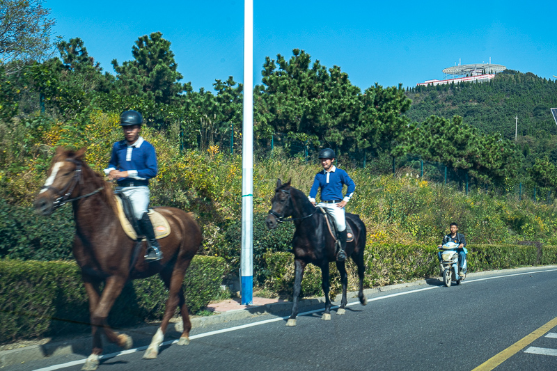 重慶線下導(dǎo)游(重慶正規(guī)導(dǎo)游)