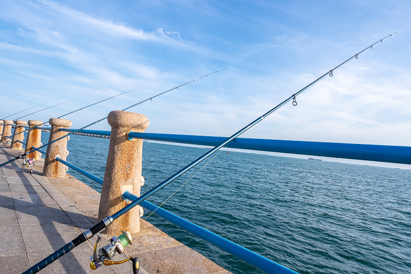 重慶語種導(dǎo)游(重慶考導(dǎo)游證的14篇導(dǎo)游詞文檔)