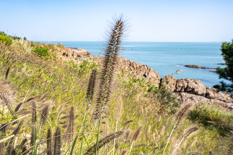 重慶英語(yǔ)導(dǎo)游及翻譯(重慶攻略三日游攻略)