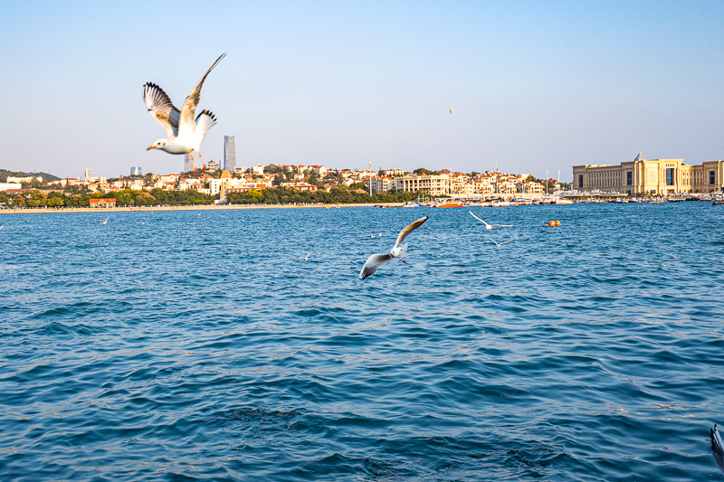 重慶怎么做私人導(dǎo)游(重慶怎么做私人導(dǎo)游賺錢)