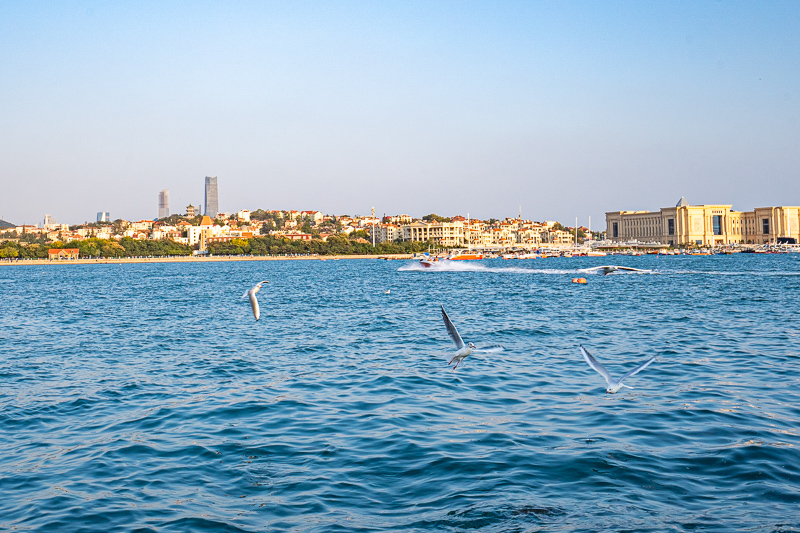 重慶導(dǎo)游文化基礎(chǔ)知識(shí)(重慶考導(dǎo)游證需什么條件)