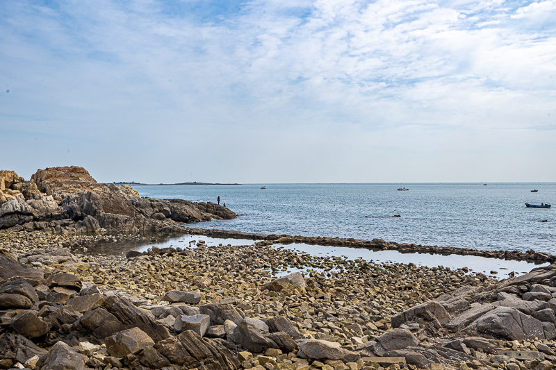 重慶南岸區(qū)領(lǐng)導(dǎo)游泳(重慶南岸區(qū)領(lǐng)導(dǎo)游泳被抓事件)