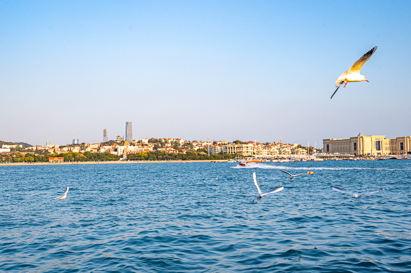 重慶仙女山自由行如何找當(dāng)?shù)貙?dǎo)游(仙女山賞雪2天免費(fèi)導(dǎo)游仙女山賞雪指南)