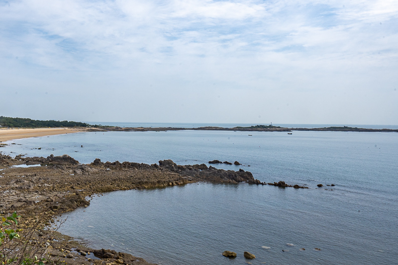 重慶三峽博物館有沒有導游(重慶攻略三日游攻略)