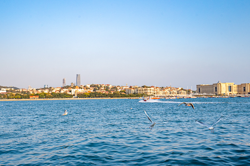 導游用英語介紹重慶(網(wǎng)上介紹的重慶導游可信嗎)