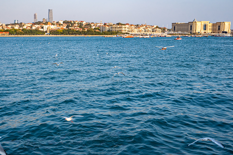 重慶外語外事學(xué)院導(dǎo)游(自考四川外國語學(xué)院有哪些科目)