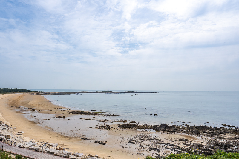 重慶地區(qū)導(dǎo)游人數(shù)是多少(重慶有多少導(dǎo)游)