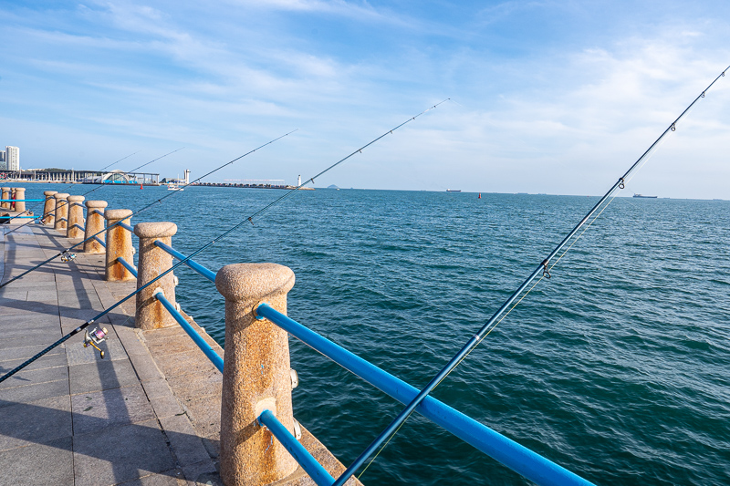 重慶兼職導(dǎo)游學(xué)生(重慶大學(xué)生兼職私人導(dǎo)游)