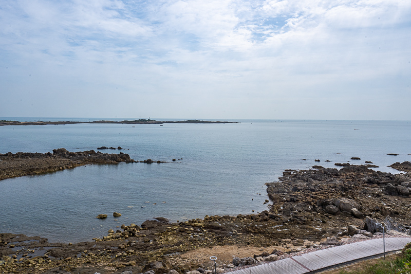 重慶外語導(dǎo)游報名審核(重慶外語導(dǎo)游報名審核時間)