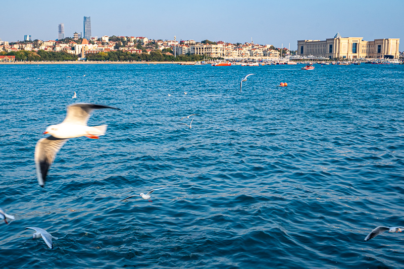 重慶出名的導游有哪些人(重慶金牌導游有哪些人)