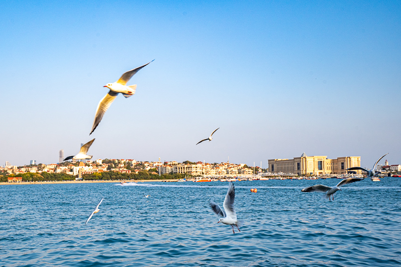 重慶主城區(qū)導(dǎo)游報名費是多少(在重慶靠一張導(dǎo)游證要多少錢每年的什么時候考)