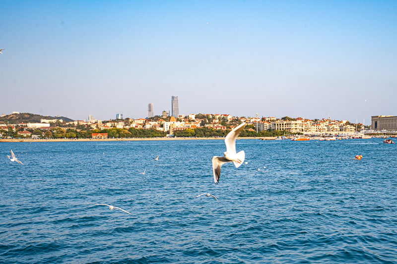 怎么在重慶當(dāng)?shù)卣覍?dǎo)游(去重慶旅游,需要找導(dǎo)游嗎,怎么找導(dǎo)游)