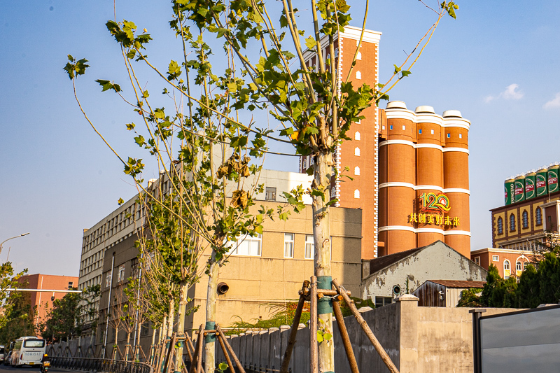 導(dǎo)游接單重慶(找重慶導(dǎo)游)