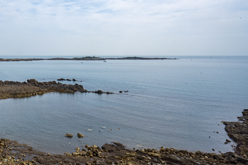 重慶一個西裝男導(dǎo)游叫什么(重慶網(wǎng)紅導(dǎo)游排名)