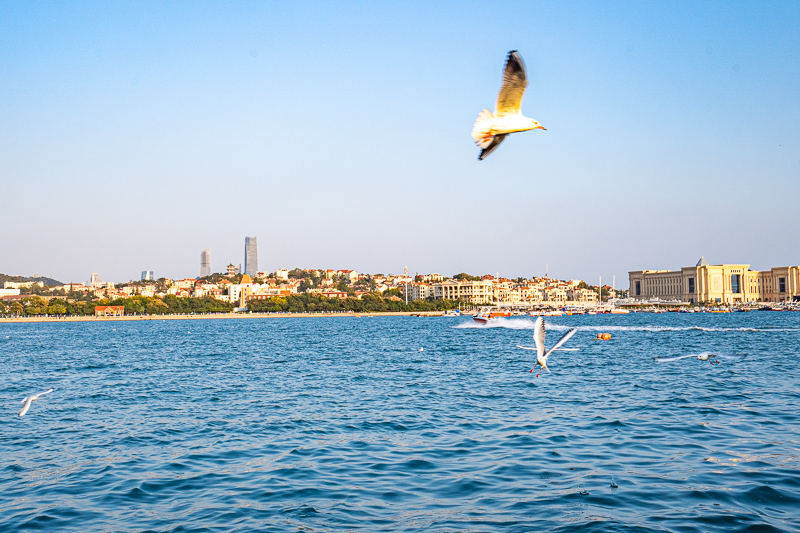 重慶十佳導(dǎo)游名單公示時(shí)間(四川十佳導(dǎo)游)