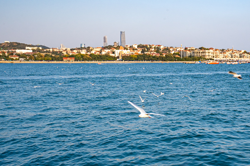 重慶一日游請(qǐng)導(dǎo)游多少錢(qián)(重慶本地導(dǎo)游在哪找)