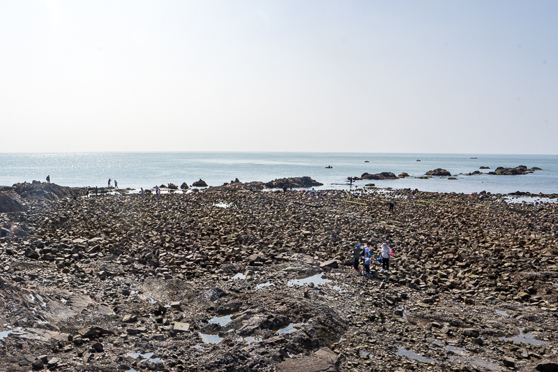 桂林女導(dǎo)游真實(shí)照片(桂林知名導(dǎo)游人員表)