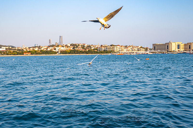 游桂林找哪個導(dǎo)游可靠(在桂林找個導(dǎo)游多少錢一天)