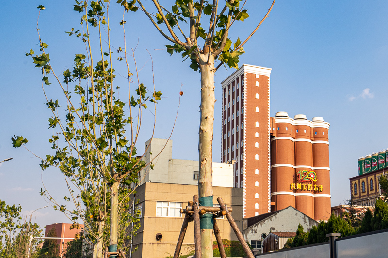 桂林英語(yǔ)私人導(dǎo)游多少錢(qián)(在桂林找個(gè)導(dǎo)游多少錢(qián)一天)