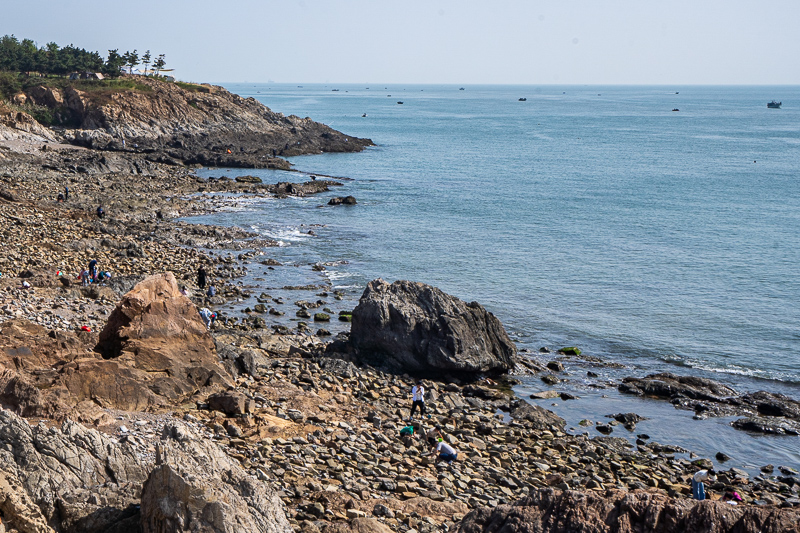 桂林導(dǎo)游桃子(桂林導(dǎo)游套路)