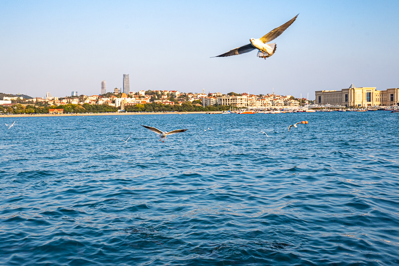 桂林導(dǎo)游服務(wù)(桂林導(dǎo)游服務(wù)公司)