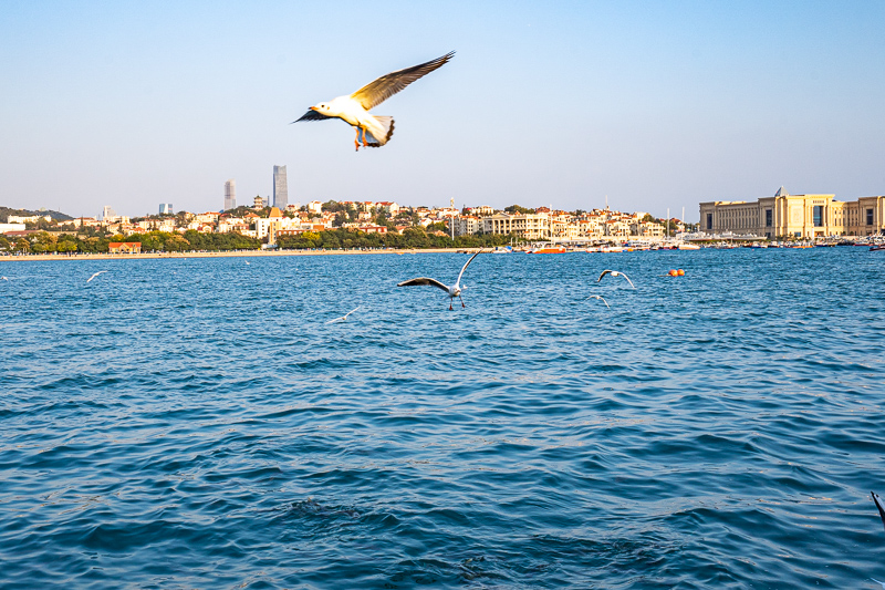 桂林導(dǎo)游談狗肉(桂林食不凡狗肉)