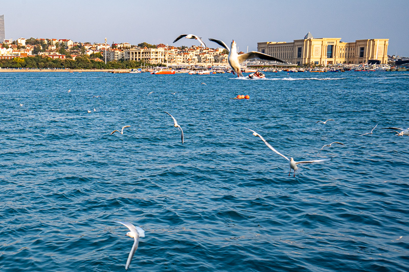 桂林導游協(xié)會前臺電話號碼(桂林導游怎么找)