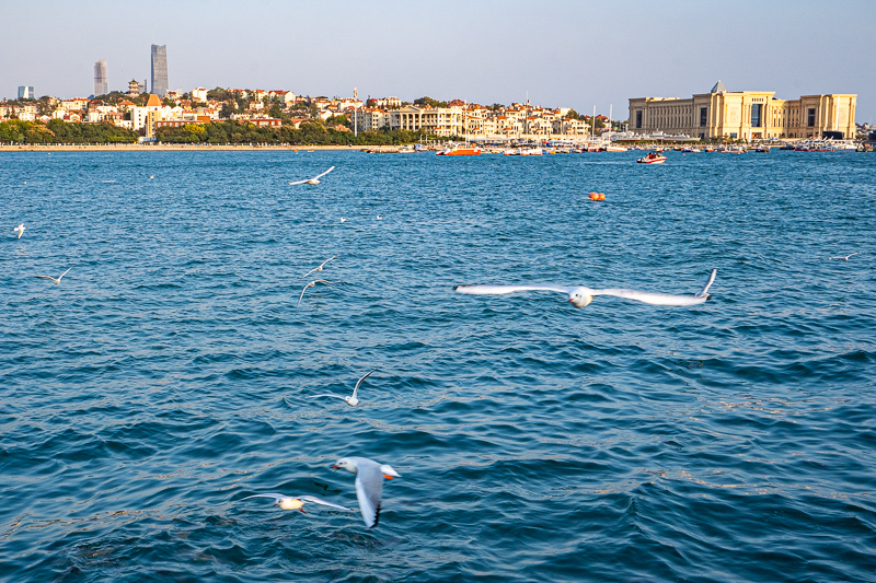 桂林導(dǎo)游藏傲(桂林旅游公司官方網(wǎng)站)