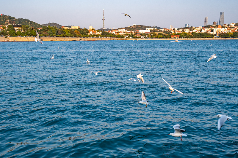 桂林導(dǎo)游稱呼(在桂林找個導(dǎo)游多少錢一天)