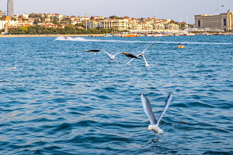 桂林導(dǎo)游市場混亂(桂林導(dǎo)游強(qiáng)制消費(fèi)(旅游陷阱揭秘)) 桂林導(dǎo)游市場混亂(桂林導(dǎo)游強(qiáng)制消費(fèi)(旅游陷阱揭秘))