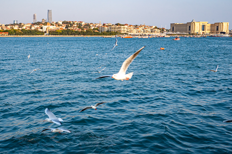 桂林導(dǎo)游忙嗎(新手導(dǎo)游如何入行)