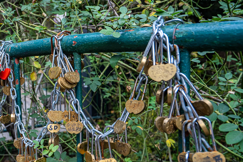 桂林導(dǎo)游瀟姐是誰(shuí)(桂林有哪些旅游景點(diǎn))