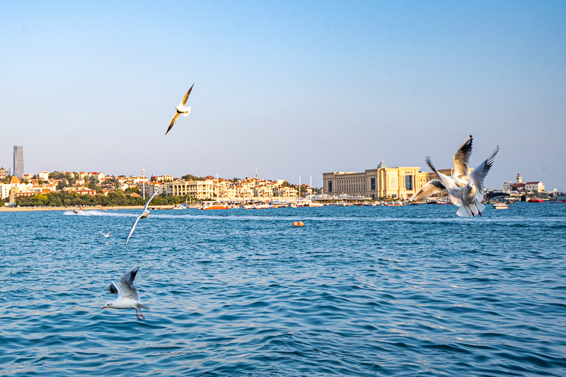 桂林導(dǎo)游招工網(wǎng)信息欄下載(桂林導(dǎo)游公司官網(wǎng))