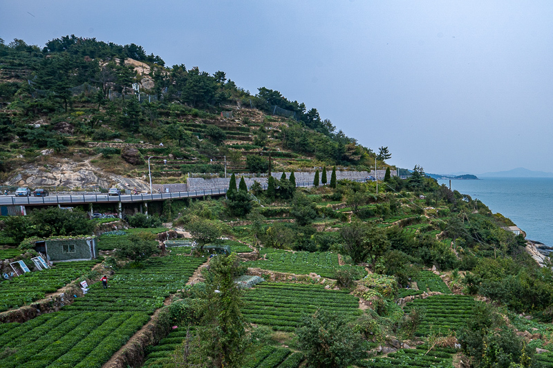 桂林導(dǎo)游強(qiáng)迫旅游人買東西(桂林旅游投訴電話號(hào)碼多少)