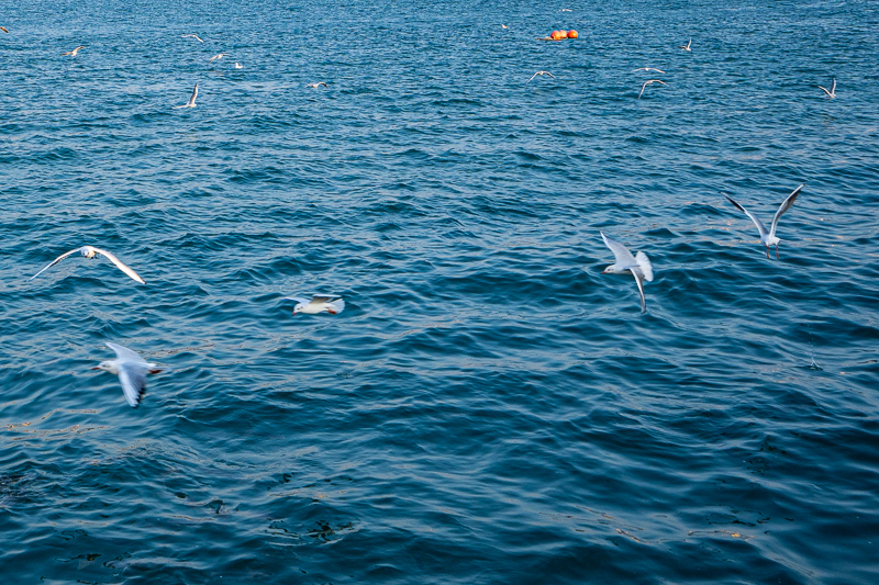 桂林導(dǎo)游工作照片真實(shí)(桂林金牌導(dǎo)游名單)