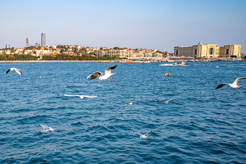 桂林導(dǎo)游和游客打架怎么處理(沒導(dǎo)游證帶團(tuán)會怎么處理)