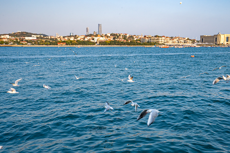 桂林導(dǎo)游可可(新疆可可托海導(dǎo)游詞)