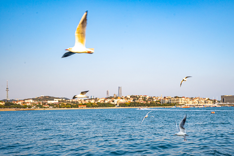 桂林導(dǎo)游土特產(chǎn)推銷(桂林導(dǎo)游土特產(chǎn)推銷方案)