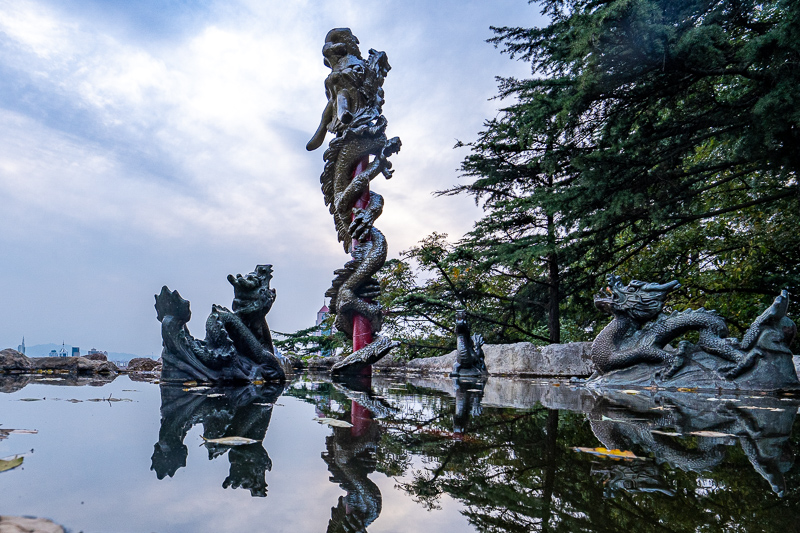 桂林導(dǎo)游劉(桂林自由行導(dǎo)游推薦)