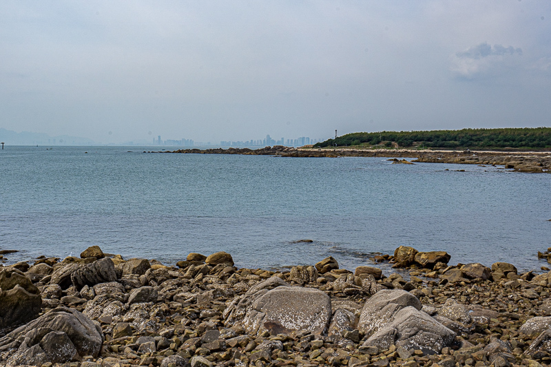 桂林導(dǎo)游判刑案例分析(桂林導(dǎo)游多少錢一天)